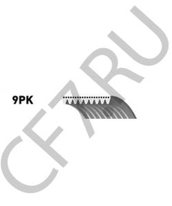 0129973892 Mercedes KEILRIPPENRIEMEN / 9PK 20 в городе Екатеринбург